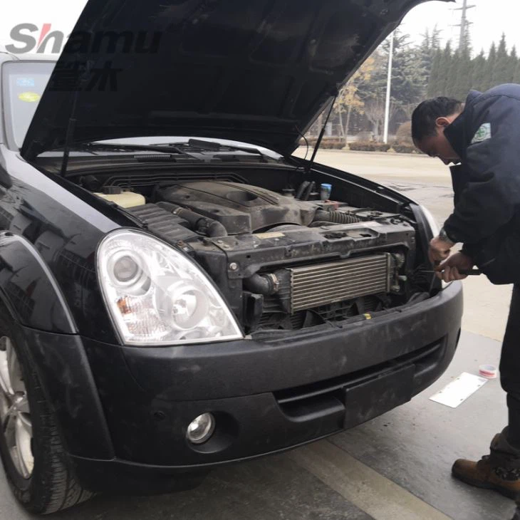 Car Body Protection Polyurea