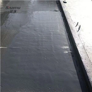 Pure Polyurea Garage Vloercoating